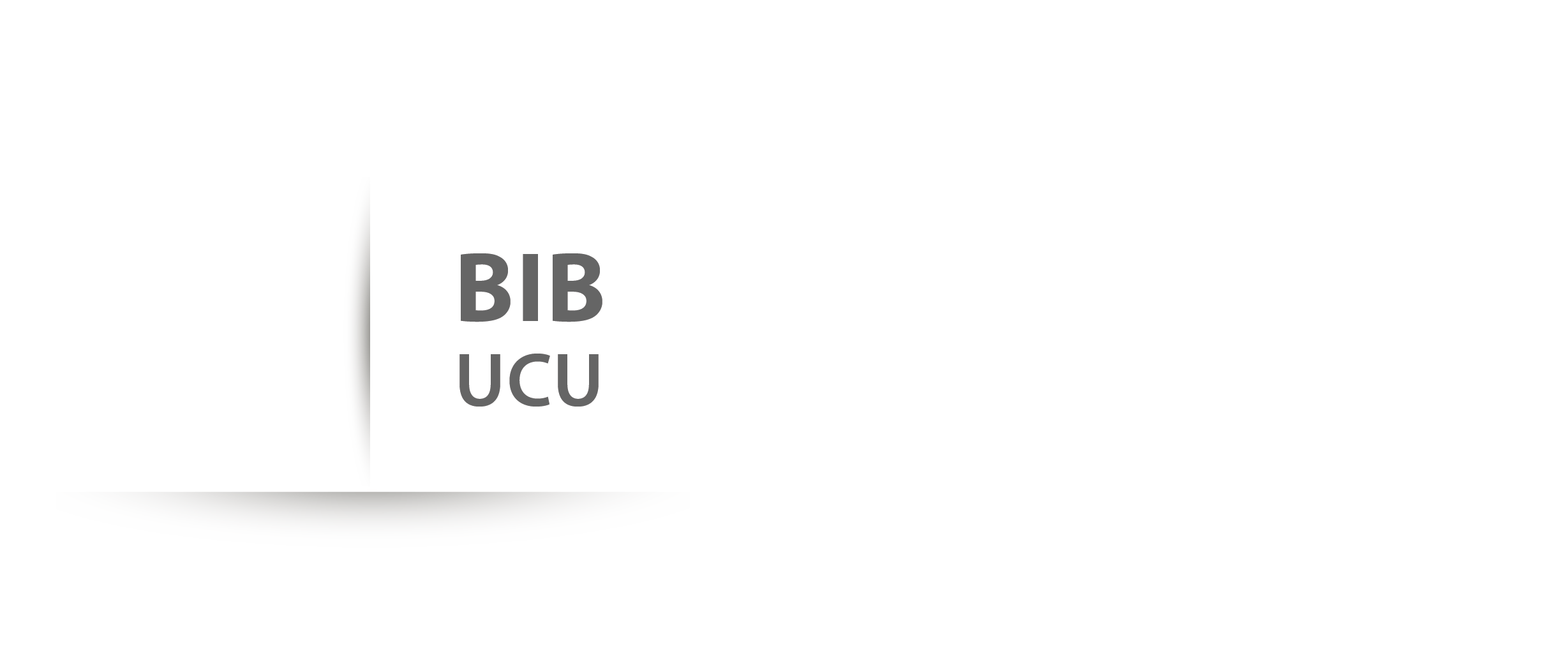 Universidad de Concepción del Uruguay